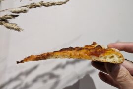 NY style plain cheese