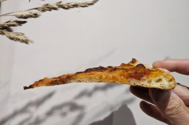 NY style plain cheese