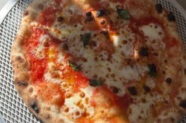 8h room-temp Forkish Neapolitan (failed)