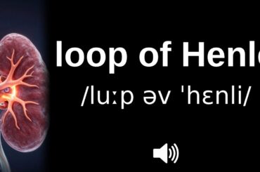 How to pronounce loop of Henle (CORRECTLY!)