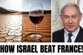 How Israel’s Desert Wine Just Beat France