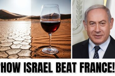 How Israel’s Desert Wine Just Beat France