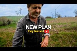 You WONT BELIEVE their reasons | ITALIAN countryside renovation #59