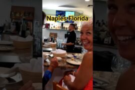 HAPPY PEOPLE at HAPPY HOUR: Casa Cotzelli Naples Florida#shorts #restaurant #happyhour