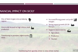 Wine Regions Report - HBM 350