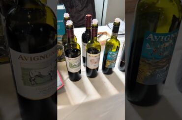 Tuscan Red Wines Line Up 🍷 Vino Nobile Preview #toscana #wine #vino #winelover #culturadelvino