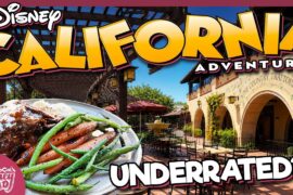 Wine Country Trattoria Lunch Review | UNDERRATED Disney California Adventure Restaurant
