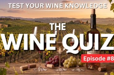 Test your WINE Knowledge with our QUIZ - WSET style wine questions (Episode #8)