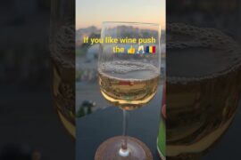 Wine Deal de Miniș Riesling Italian🥂🍾🇷🇴#shorts #wine #cheers #romania #arad #minis