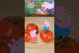 Peppa Pig Tomato Salad🥗🍅#peppapig #georgepig #healthy #peppa #cartoon #funny #food  #peppa #salad