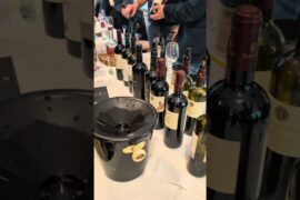 Wine Tasting Atmosphere 🍷 Tuscany Experience #toscana #wine #winelover #vino #culturadelvino