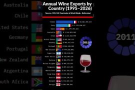 🍷 Annual Wine Exports by Country (1995–2026)