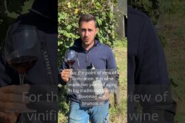 Cantina Brezza-Discover by Francesco Brezza, the Cannubi Cru Barolo #barolo #winelover #italianwine