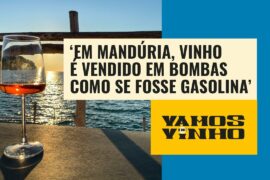 Conhecido na Itália como “Primitivo”, Zinfandel é vinho “macio” e fácil de beber