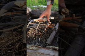 Wild Fire Setup by an Italian Lake 🔥 #shorts #italianpasta #cooking #survival #wildernesscooking
