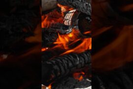 Fire Setup by a Wild River — Italian Bushcraft 🔥 #shorts #cooking #food #survival #bushcraft