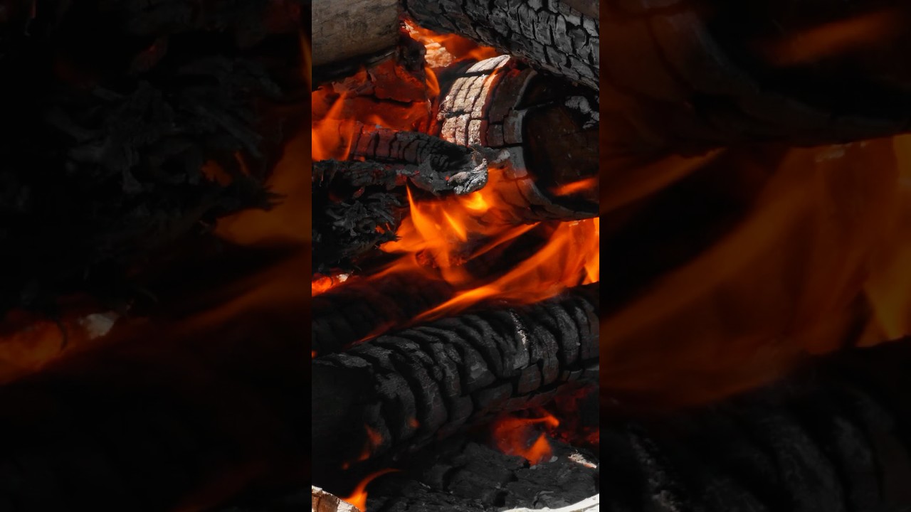 Fire Setup by a Wild River — Italian Bushcraft 🔥 #shorts #cooking #food #survival #bushcraft Fire Setup by a Wild River — Italian Bushcraft 🔥 #shorts #cooking #food #survival #bushcraft