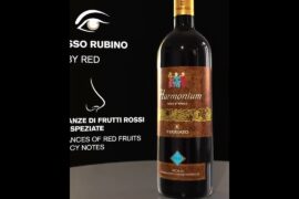 Harmonium, Sicilia DOC 🍷 #wine #italy #sicily