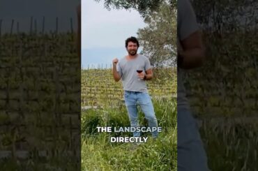 This Grape Training Method Looks Insane But Works #farming #satisfying