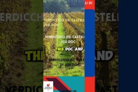 Pronounce Verdicchio dei Castelli di Jesi Correctly 🇮🇹 #Italy #wine