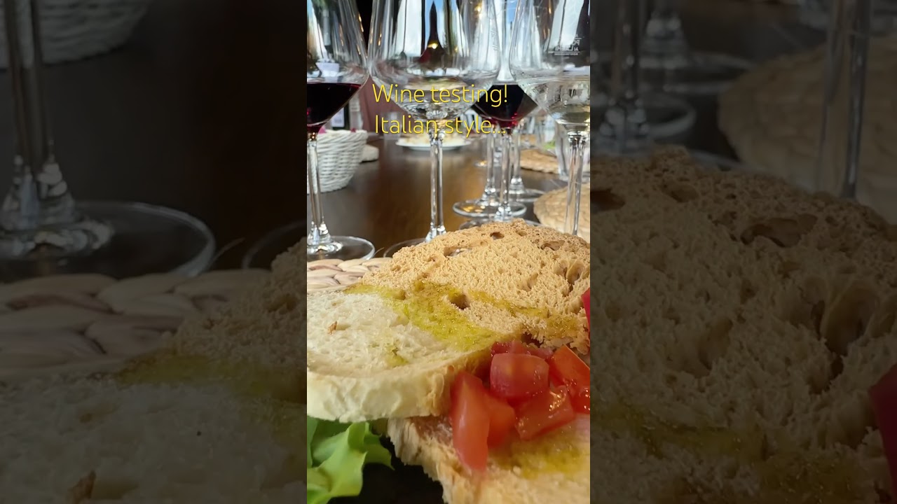 Italian Wine Tasting Experience 🍷🇮🇹 | Living the Dolce Vita #travelwithalok Italian Wine Tasting Experience 🍷🇮🇹 | Living the Dolce Vita #travelwithalok
