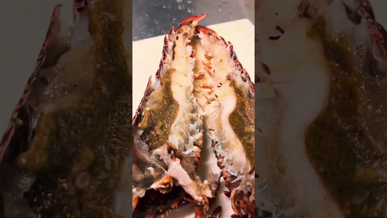 Lobster pasta in Venice 🦞🍝 #shorts #venice #italy Lobster pasta in Venice 🦞🍝 #shorts #venice #italy