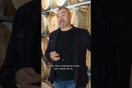 Șarba, mândria podgoriilor din Moldova: Soiul aromat creat din Riesling și Tămâioasă Românească