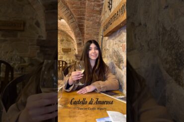 POV: You Found a SECRET Castle Winery Hidden in Napa Valley 🍷