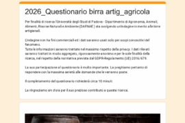 TESI BIRRA