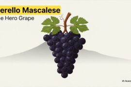 Unveiling the Elegance of Nerello Mascalese: Sicily's Volcanic Gem