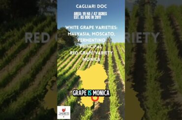 Cagliari DOC in Under 60 Seconds #italy #sardegna