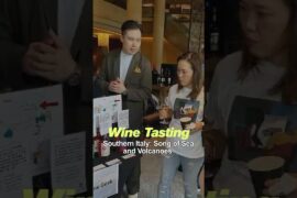 Wine Tasting: Southern Italy