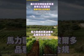 不照規矩只能標最低等級 結果賣得比名酒還貴 #Shorts