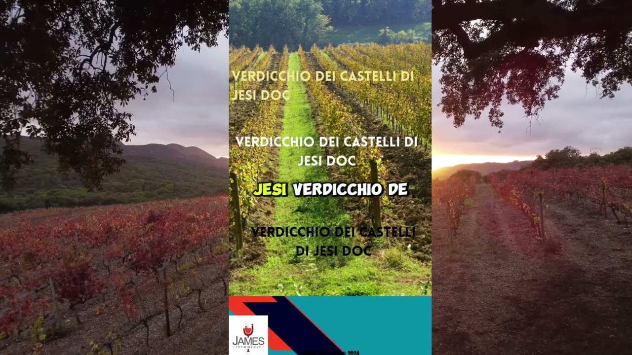 Pronounce Verdicchio dei Castelli di Jesi Correctly 🇮🇹 #Italy #wine Pronounce Verdicchio dei Castelli di Jesi Correctly 🇮🇹 #Italy #wine