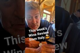 Wine Review from Bari Italy #italiangetaway #travel #foodvlog #winetasting
