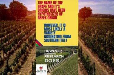 Aglianico Explained in Under 60 Seconds #italy