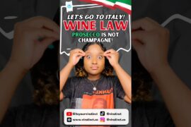 🍾🥂Prosecco vs. Champagne: They Are Not the Same Wine🥂🍾