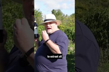 Per farla breve : Bocale 2020 Montefalco Sagrantino (Italy)