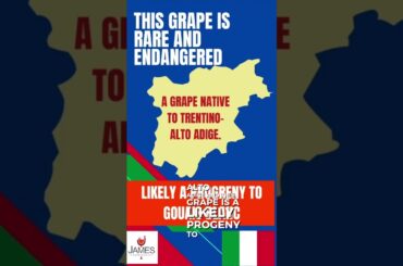 Rossara: Italy’s Rare Hidden Wine Grape 🍷 #italy