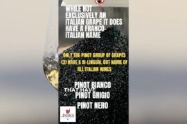 How to Pronounce Pinot Grigio 🇮🇹 #italy