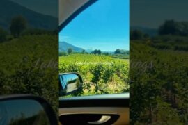 Private Chauffeur Lake Iseo Wine Tour from Milano 🍷 | Luxury Wine Experience Lombardy