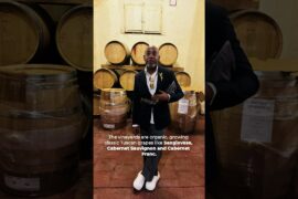 Exploring Tenuta di Capezzana Tuscany Italy