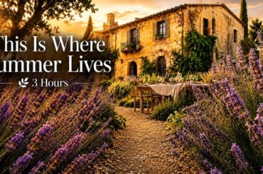This Is Where Summer Lives 🌿 Italian Lavender Garden | Soft Jazz Piano | 3 Hours