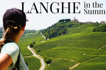 This is What a Perfect Day in the LANGHE Vineyards Look Like