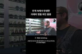 안개 속에서 탄생한 이태리 명품 와인 품종!
