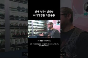 안개 속에서 탄생한 이태리 명품 와인 품종!