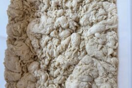 Help with over fermenting biga