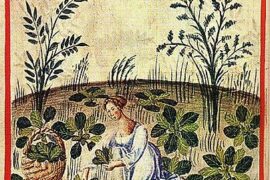 Green Ravioli (c. 1500)