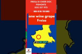 Freisa di Chieri DOC in 60 Seconds #italy