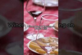 Winery Visit in Padova [Italy Travel 2026]